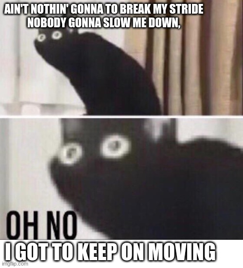 :) | AIN'T NOTHIN' GONNA TO BREAK MY STRIDE
NOBODY GONNA SLOW ME DOWN, I GOT TO KEEP ON MOVING | image tagged in oh no cat,break my stride,music,memes | made w/ Imgflip meme maker