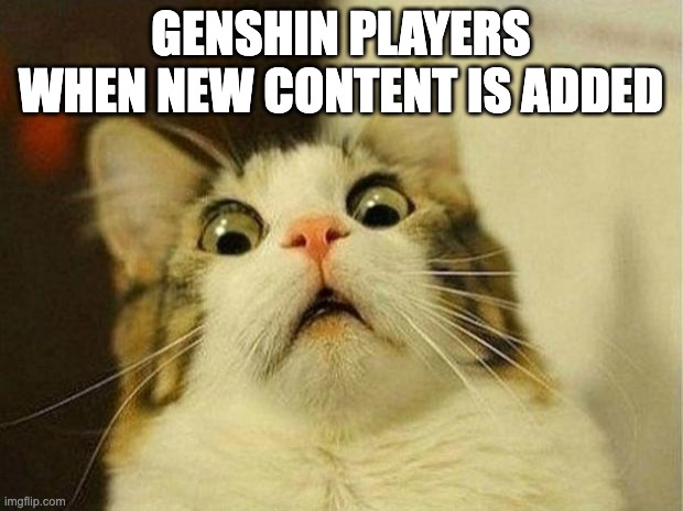 Adventure Level 65 Be Like | GENSHIN PLAYERS WHEN NEW CONTENT IS ADDED | image tagged in memes,scared cat | made w/ Imgflip meme maker