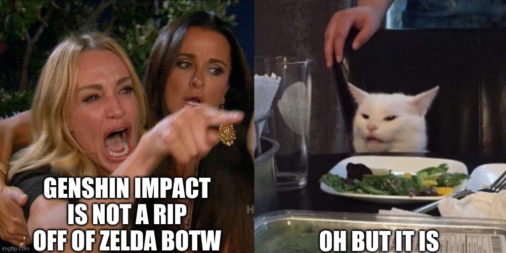 Woman yelling at cat | GENSHIN IMPACT IS NOT A RIP OFF OF ZELDA BOTW; OH BUT IT IS | image tagged in woman yelling at cat | made w/ Imgflip meme maker