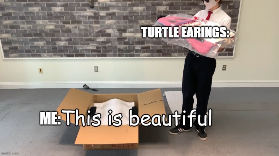 HRU | TURTLE EARINGS:; ME: | image tagged in this is beautiful | made w/ Imgflip meme maker