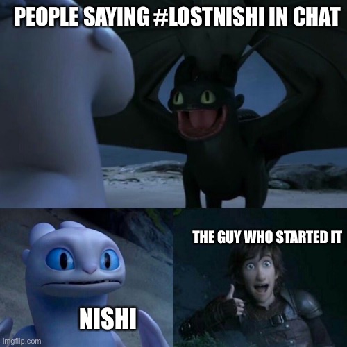 HTTYD/day of dragons meme | PEOPLE SAYING #LOSTNISHI IN CHAT; THE GUY WHO STARTED IT; NISHI | image tagged in dragon,httyd,day of dragons | made w/ Imgflip meme maker