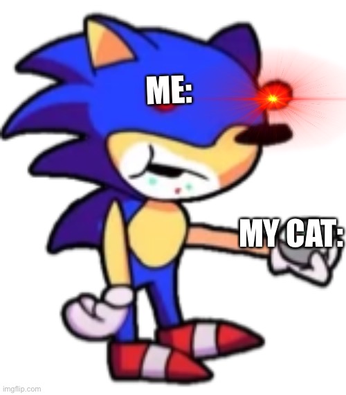 Me vs. my cat. | ME:; MY CAT: | image tagged in sunky | made w/ Imgflip meme maker