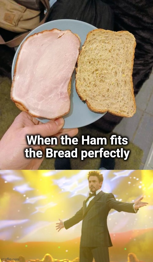 It's a beautiful day |  When the Ham fits the Bread perfectly | image tagged in tony stark success,make me a sandwich,perfection,mayo,cheese | made w/ Imgflip meme maker