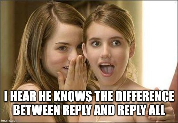 Girls gossiping | I HEAR HE KNOWS THE DIFFERENCE BETWEEN REPLY AND REPLY ALL | image tagged in girls gossiping | made w/ Imgflip meme maker