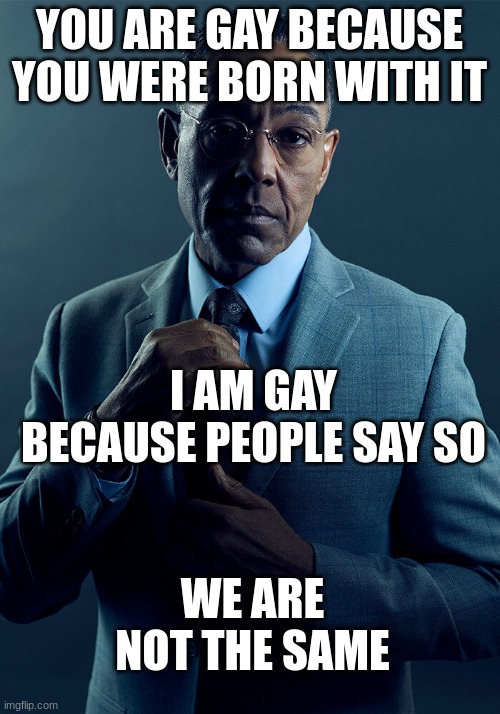Gus Fring we are not the same | YOU ARE GAY BECAUSE YOU WERE BORN WITH IT; I AM GAY BECAUSE PEOPLE SAY SO; WE ARE NOT THE SAME | image tagged in gus fring we are not the same,memes | made w/ Imgflip meme maker