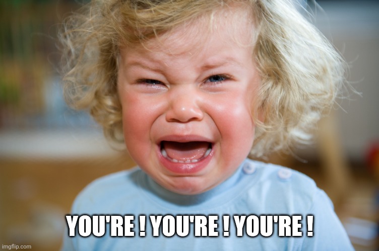 temper-tantrum | YOU'RE ! YOU'RE ! YOU'RE ! | image tagged in temper-tantrum | made w/ Imgflip meme maker