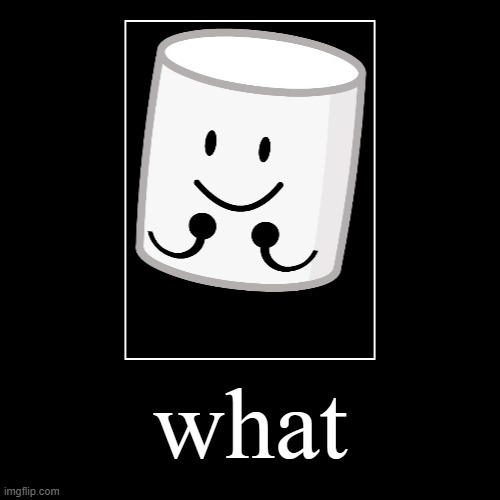 what (marshmallow from inanimate insanity) | image tagged in funny,demotivationals,marshmallow | made w/ Imgflip demotivational maker
