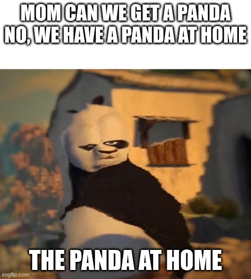 What hell is that mom | MOM CAN WE GET A PANDA
NO, WE HAVE A PANDA AT HOME; THE PANDA AT HOME | image tagged in drunk kung fu panda | made w/ Imgflip meme maker