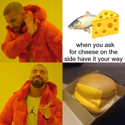 jobless | when you ask for cheese on the side have it your way | image tagged in memes,drake hotline bling,drake,drake hotline approves,drake meme | made w/ Imgflip meme maker