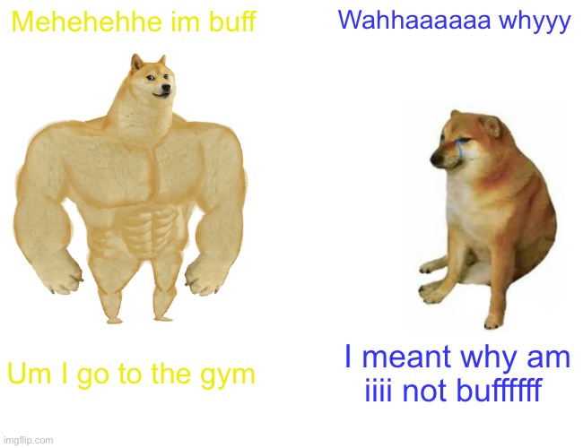 Buff Doge vs. Cheems Meme | Mehehehhe im buff; Wahhaaaaaa whyyy; Um I go to the gym; I meant why am iiii not buffffff | image tagged in memes,buff doge vs cheems | made w/ Imgflip meme maker