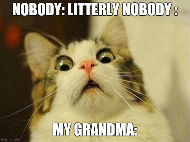 PLZ CLIK LOLZ I DONT EVEN KNOW ANYMORE | NOBODY: LITTERLY NOBODY :; MY GRANDMA: | image tagged in memes,scared cat | made w/ Imgflip meme maker