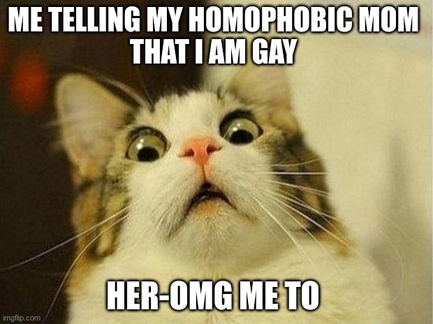 Scared Cat | ME TELLING MY HOMOPHOBIC MOM 
THAT I AM GAY; HER-OMG ME TO | image tagged in memes,scared cat | made w/ Imgflip meme maker