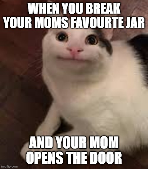 WHEN YOU BREAK YOUR MOMS FAVOURTE JAR; AND YOUR MOM OPENS THE DOOR | image tagged in idk | made w/ Imgflip meme maker