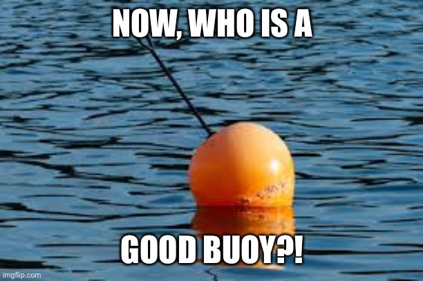 Oh, yes he is! Yes he is! | NOW, WHO IS A; GOOD BUOY?! | image tagged in water | made w/ Imgflip meme maker