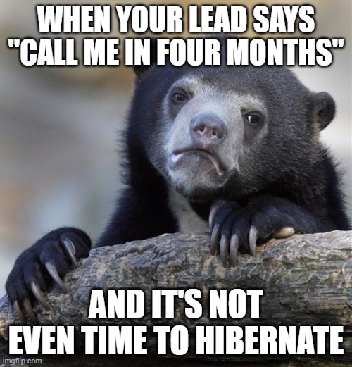 Confession Bear Meme | WHEN YOUR LEAD SAYS "CALL ME IN FOUR MONTHS"; AND IT'S NOT EVEN TIME TO HIBERNATE | image tagged in memes,confession bear | made w/ Imgflip meme maker