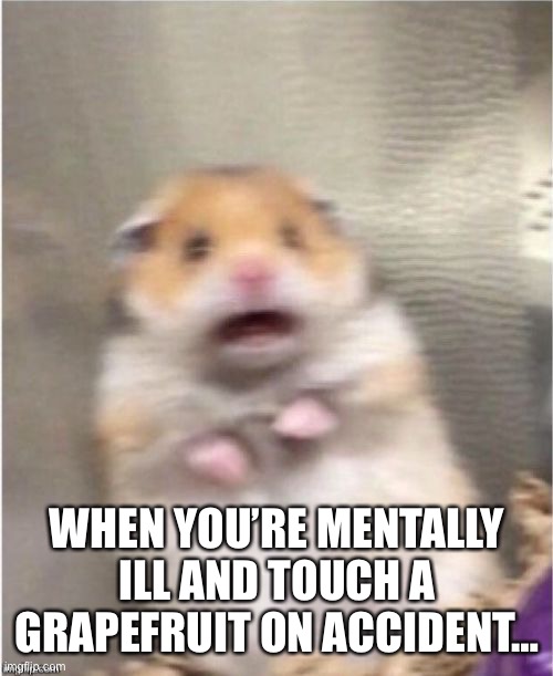Scared Hamster | WHEN YOU’RE MENTALLY ILL AND TOUCH A GRAPEFRUIT ON ACCIDENT… | image tagged in scared hamster | made w/ Imgflip meme maker