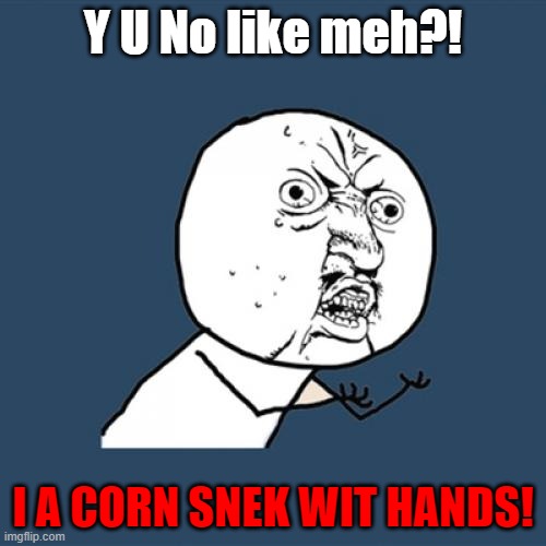 LIKE MEH?! | Y U No like meh?! I A CORN SNEK WIT HANDS! | image tagged in memes,y u no | made w/ Imgflip meme maker