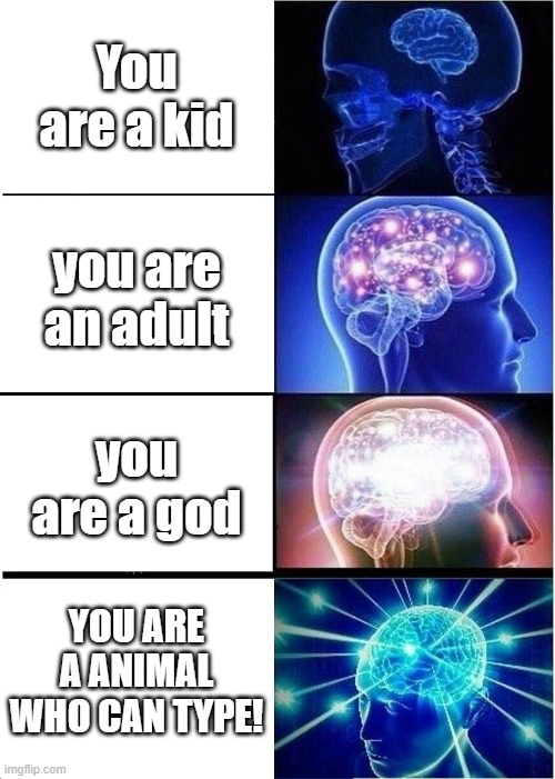 You are... | You are a kid; you are an adult; you are a god; YOU ARE A ANIMAL WHO CAN TYPE! | image tagged in memes,expanding brain | made w/ Imgflip meme maker