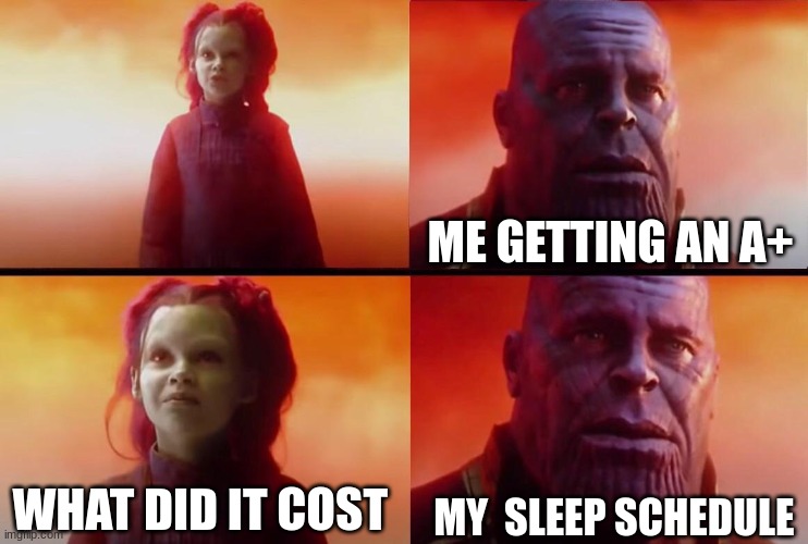 What did it cost? | ME GETTING AN A+; MY  SLEEP SCHEDULE; WHAT DID IT COST | image tagged in what did it cost | made w/ Imgflip meme maker
