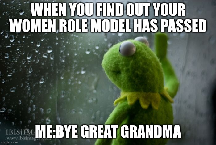 I will forever miss you. | WHEN YOU FIND OUT YOUR WOMEN ROLE MODEL HAS PASSED; ME:BYE GREAT GRANDMA | image tagged in kermit window | made w/ Imgflip meme maker