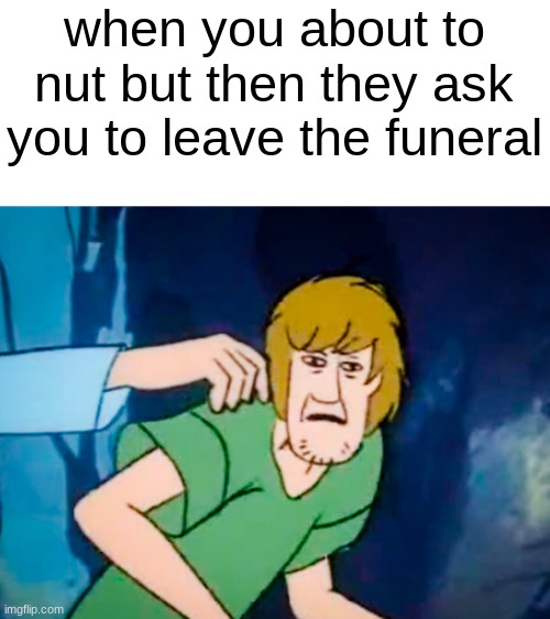 Shaggy meme | when you about to nut but then they ask you to leave the funeral | image tagged in shaggy meme,hol up | made w/ Imgflip meme maker