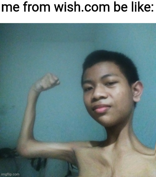 me from wish.com be like: | made w/ Imgflip meme maker