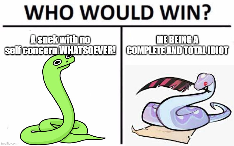 WHO WILL WIN!? | A snek with no self concern WHATSOEVER! ME BEING A COMPLETE AND TOTAL IDIOT | image tagged in memes,who would win | made w/ Imgflip meme maker