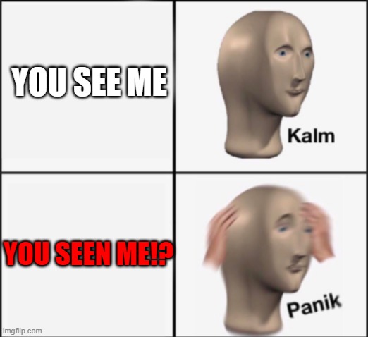 no looks | YOU SEE ME; YOU SEEN ME!? | image tagged in kalm panik | made w/ Imgflip meme maker