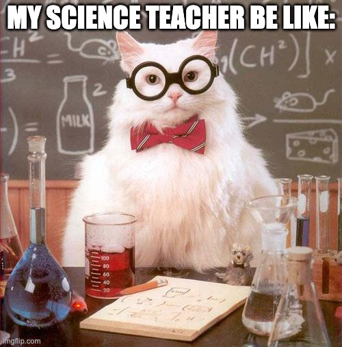 Science Cat | MY SCIENCE TEACHER BE LIKE: | image tagged in science cat | made w/ Imgflip meme maker