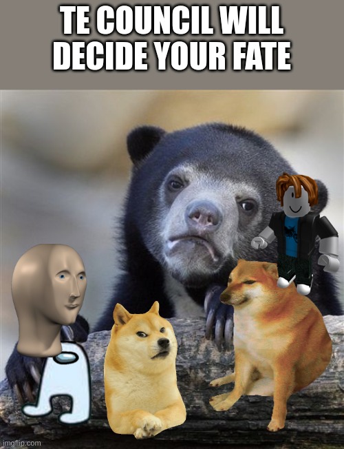 Confession Bear | TE COUNCIL WILL DECIDE YOUR FATE | image tagged in memes,confession bear | made w/ Imgflip meme maker