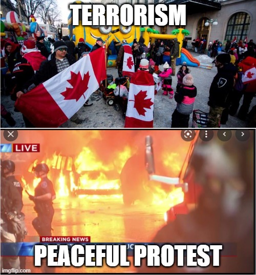 TERRORISM; PEACEFUL PROTEST | image tagged in protests | made w/ Imgflip meme maker