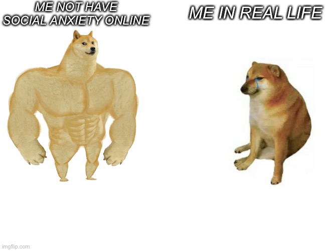 Only people with social anxiety will understand this meme | ME NOT HAVE SOCIAL ANXIETY ONLINE; ME IN REAL LIFE | image tagged in memes,buff doge vs cheems | made w/ Imgflip meme maker