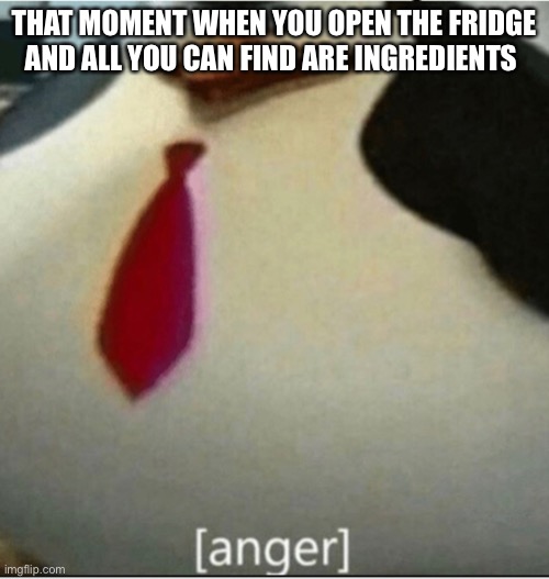 [anger] | THAT MOMENT WHEN YOU OPEN THE FRIDGE AND ALL YOU CAN FIND ARE INGREDIENTS | image tagged in anger | made w/ Imgflip meme maker
