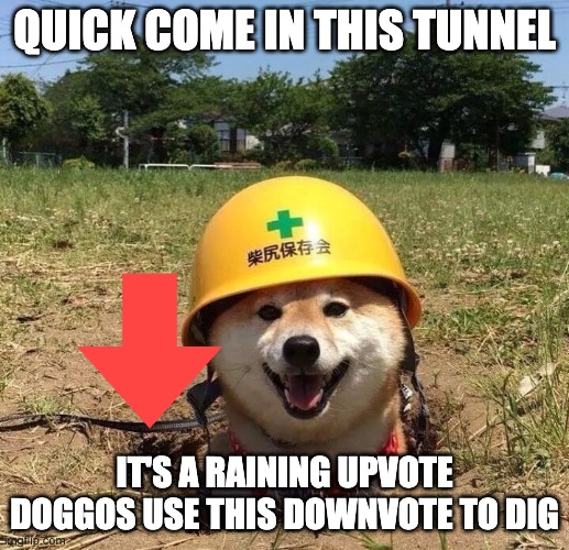 Safety doggo | QUICK COME IN THIS TUNNEL; IT'S A RAINING UPVOTE DOGGOS USE THIS DOWNVOTE TO DIG | image tagged in safety doggo | made w/ Imgflip meme maker