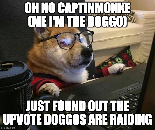 Doggo glasses | OH NO CAPTINMONKE (ME I'M THE DOGGO); JUST FOUND OUT THE UPVOTE DOGGOS ARE RAIDING | image tagged in doggo glasses | made w/ Imgflip meme maker