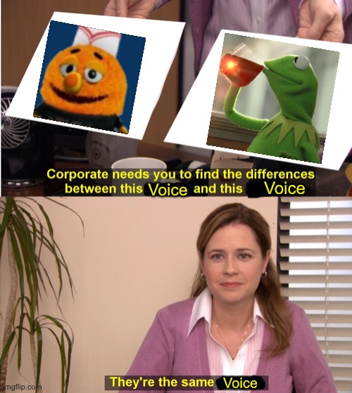 They're The Same Picture | Voice; Voice; Voice | image tagged in memes,they're the same picture | made w/ Imgflip meme maker