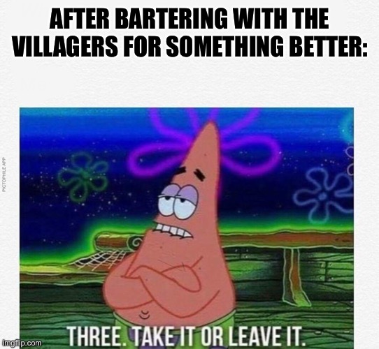 3 take it or leave it | AFTER BARTERING WITH THE VILLAGERS FOR SOMETHING BETTER: | image tagged in 3 take it or leave it | made w/ Imgflip meme maker