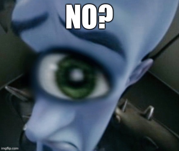 NO? | image tagged in memes | made w/ Imgflip meme maker