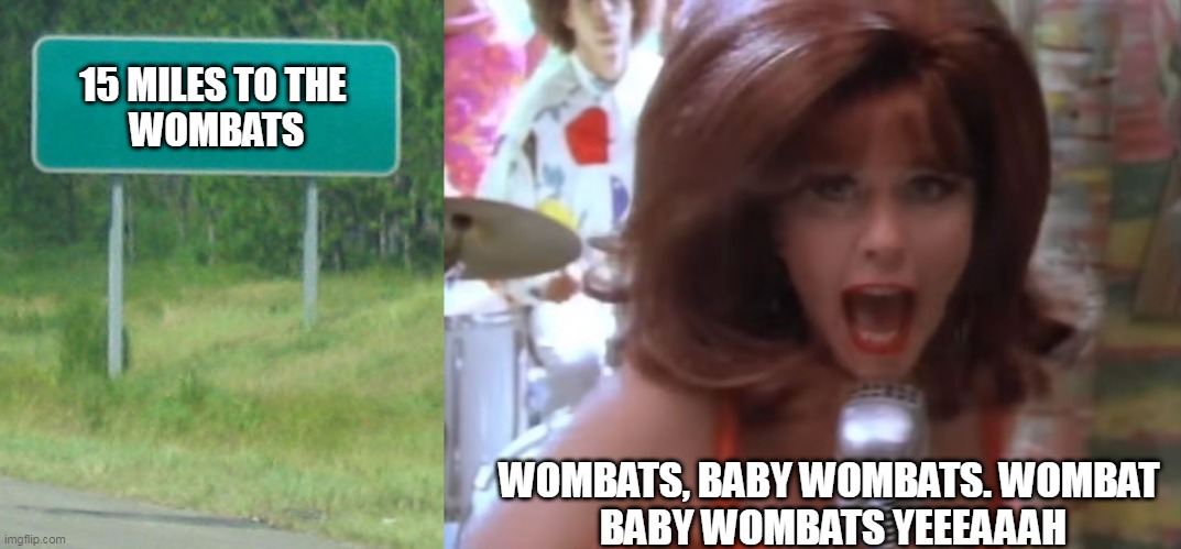 15 miles to the wombats | 15 MILES TO THE 
WOMBATS; WOMBATS, BABY WOMBATS. WOMBAT 
BABY WOMBATS YEEEAAAH | image tagged in green road sign blank | made w/ Imgflip meme maker