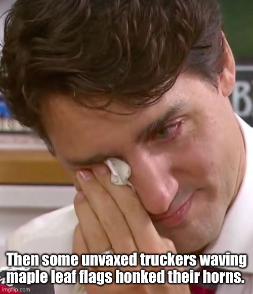 Poor fella. | Then some unvaxed truckers waving maple leaf flags honked their horns. | image tagged in justin trudeau crying,politics lol,memes | made w/ Imgflip meme maker