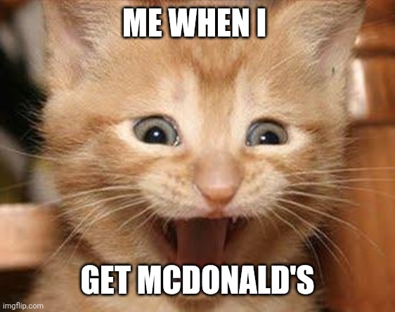 Yay! | ME WHEN I; GET MCDONALD'S | image tagged in memes,excited cat | made w/ Imgflip meme maker