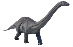 Apatosaurus Blank Meme Template