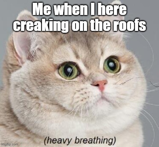 Why do I keep hearing creaking in the roof | Me when I here creaking on the roofs | image tagged in memes,heavy breathing cat | made w/ Imgflip meme maker