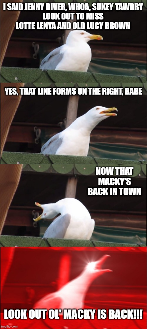 You Can Just Hear Bobby Singing | I SAID JENNY DIVER, WHOA, SUKEY TAWDRY
LOOK OUT TO MISS LOTTE LENYA AND OLD LUCY BROWN; YES, THAT LINE FORMS ON THE RIGHT, BABE; NOW THAT MACKY'S BACK IN TOWN; LOOK OUT OL' MACKY IS BACK!!! | image tagged in memes,inhaling seagull | made w/ Imgflip meme maker