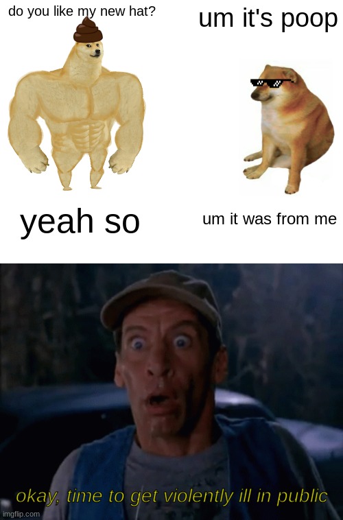 Umm... | do you like my new hat? um it's poop; yeah so; um it was from me; okay, time to get violently ill in public | image tagged in memes,buff doge vs cheems,cheems,doge | made w/ Imgflip meme maker