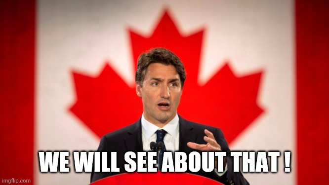 Justin Trudeau | WE WILL SEE ABOUT THAT ! | image tagged in justin trudeau | made w/ Imgflip meme maker