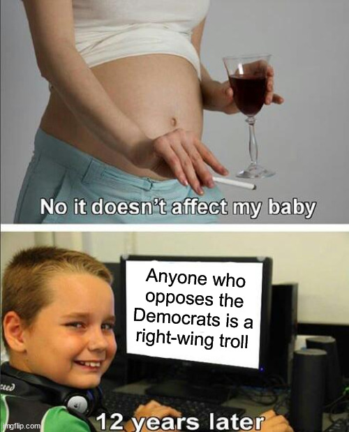 No it doesn't affect my baby | Anyone who opposes the Democrats is a right-wing troll | image tagged in no it doesn't affect my baby,democrats,liberals | made w/ Imgflip meme maker