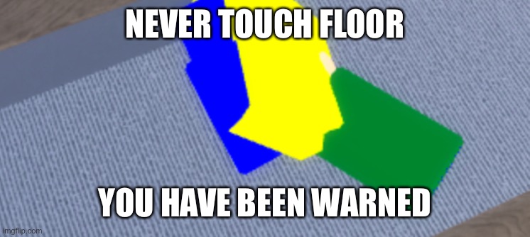Floor | NEVER TOUCH FLOOR; YOU HAVE BEEN WARNED | image tagged in floor | made w/ Imgflip meme maker