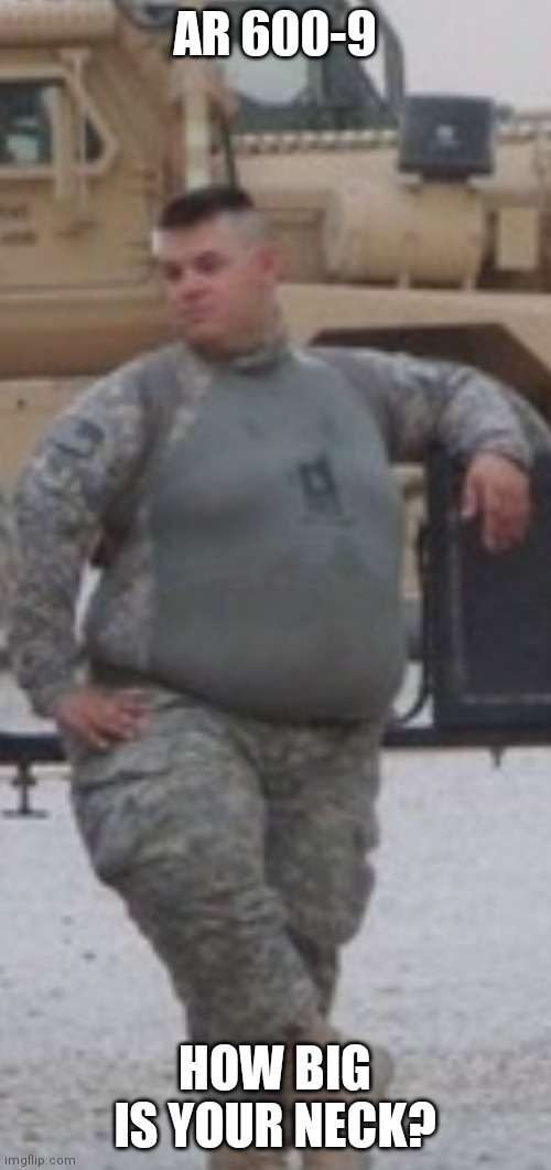 Fat soldier | AR 600-9; HOW BIG IS YOUR NECK? | image tagged in fat army soldier | made w/ Imgflip meme maker