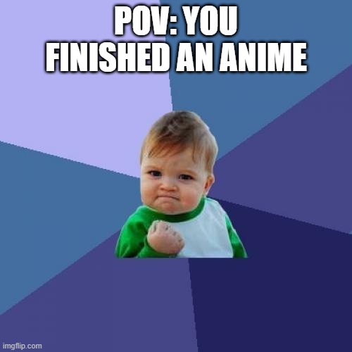 Success Kid Meme | POV: YOU FINISHED AN ANIME | image tagged in memes,success kid,anime | made w/ Imgflip meme maker
